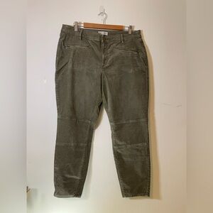 LOFT Women's Straight Leg Jeans in Olive